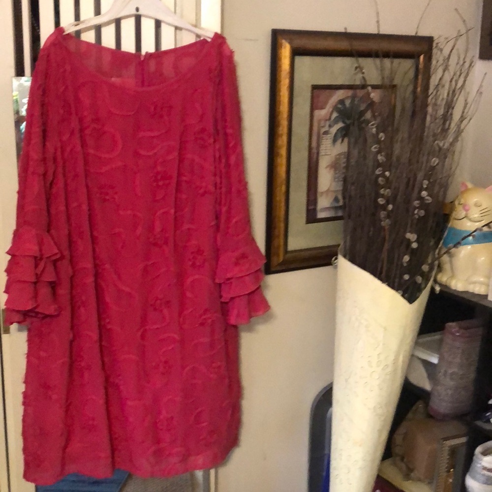 Beautiful Dress Cerise Color with Ornamental Accents and Ruffled Sleeves.